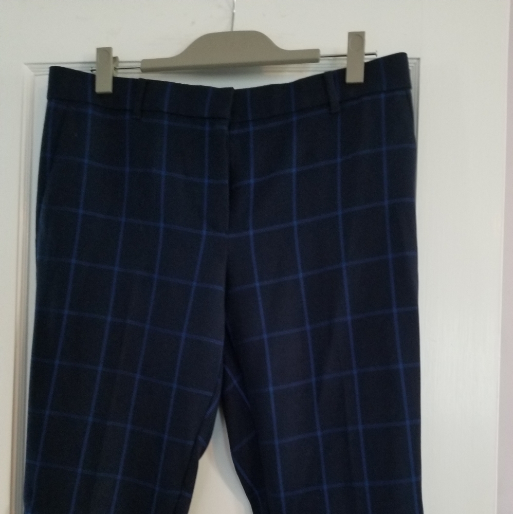Ann Taylor navy blue pants with light blue stripe